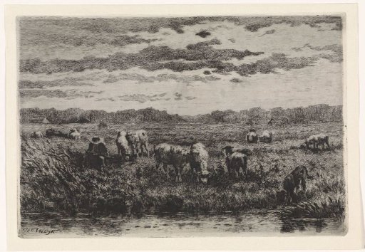 Landscape with sheep