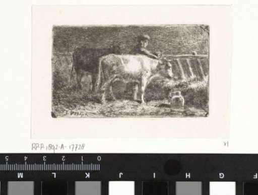 Farmer between two cows at a trough in a stable (small version)