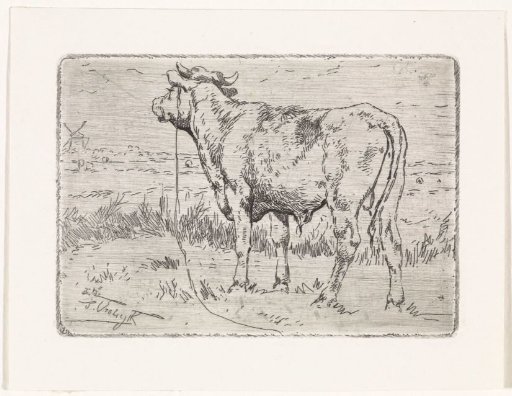 Landscape with a bull, tethered