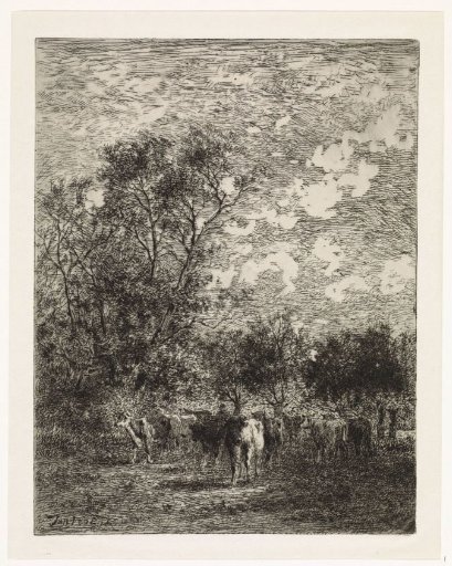 Cows on a clearing, near willows