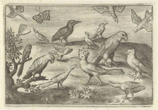 Bittern and other birds