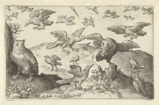 Owl with prey attacked by other birds