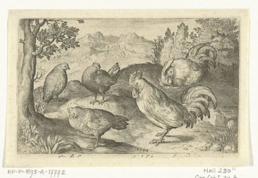 Three chickens and two roosters
