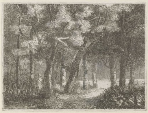 Hunter and His Dog in the Woods