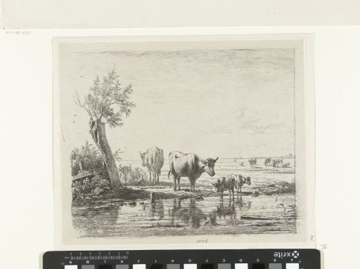 Pastoral landscape with cows by water