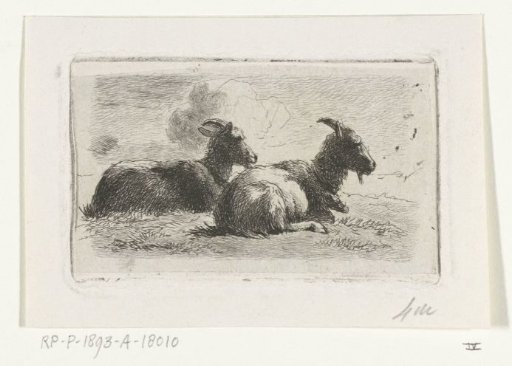 Two reclining goats