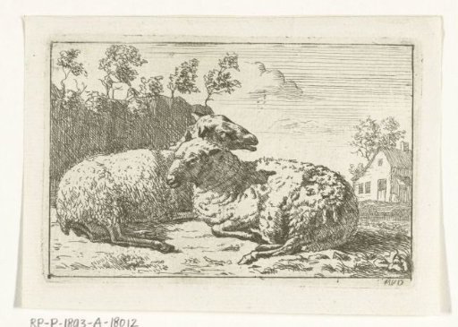 Two sheep lying by a fence