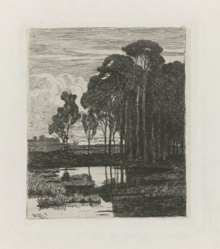 Poplars