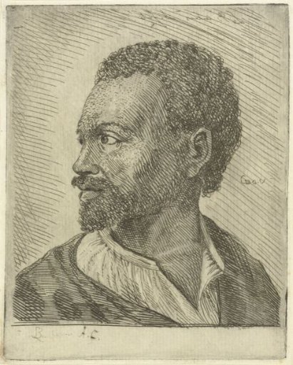 Portrait of an Abyssinian