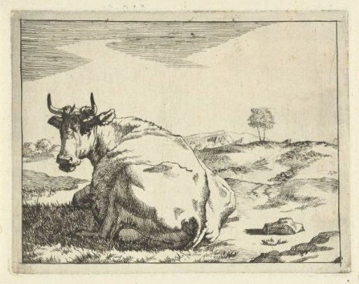 Lying cow