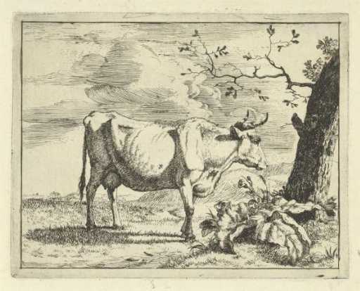 Standing Cow by Tree
