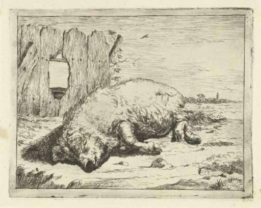 Reclining Pig