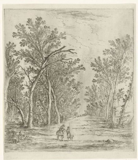Forest path