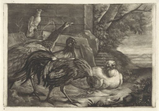Chickens, a Rooster and a Peacock