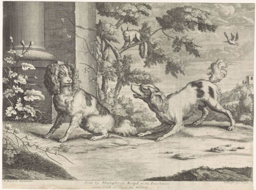 Sitting and barking dog by a squirrel