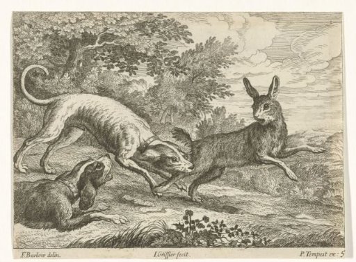 Hunting of a hare