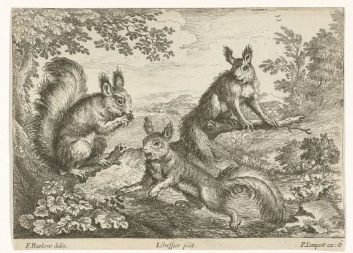 Three squirrels