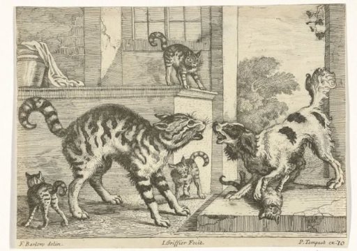 Dog and cat