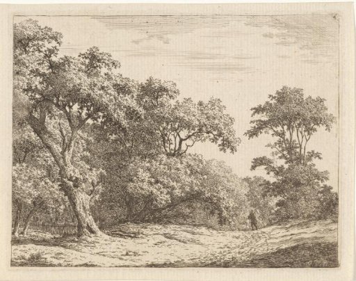 Landscape with trees and a man on the road