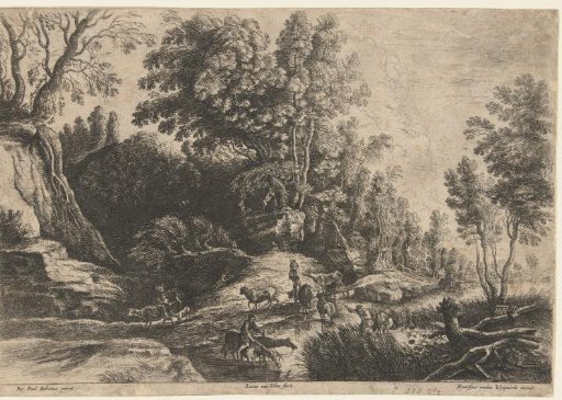 Horses and cows at a watering place