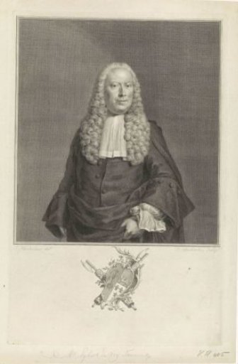 Portrait of Egbert de Vrij Temminck