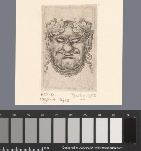 Mask with grapevines