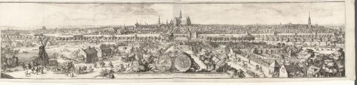 View of Haarlem (profile)