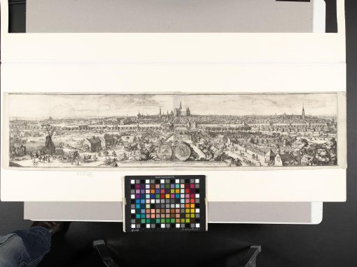 View of Haarlem (profile)