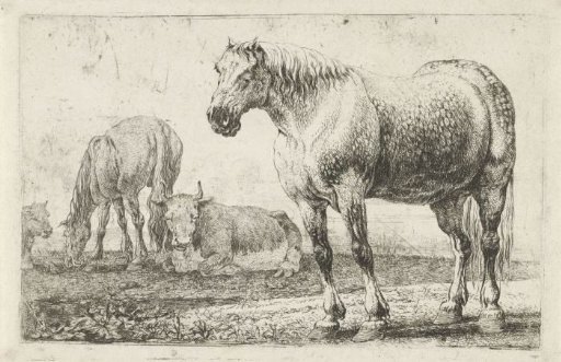Horses and cows