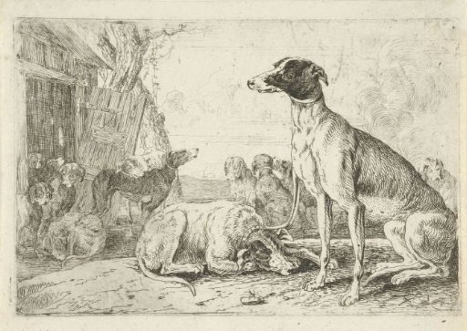 Dog kennel