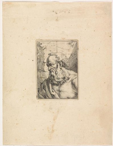 Bust of an old man with a beard