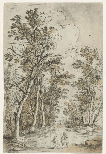 Forest path