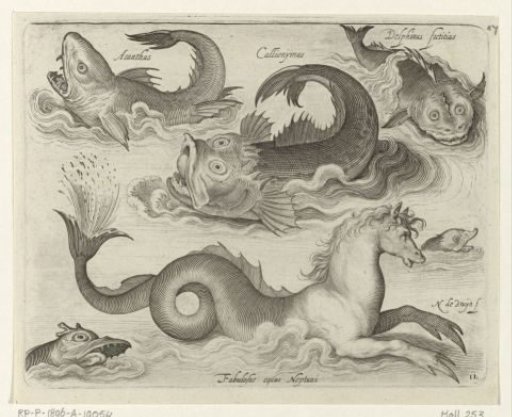 Fantastic water creatures, including seahorse