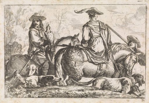 Falconry
