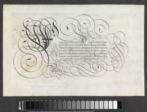 Design of a writing specimen: Faut aymer (...)