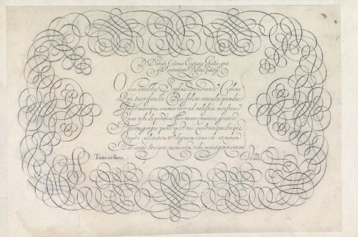 Design for a Writing Sample: D. Daniels Colonio ecclesiae Gallie (...)