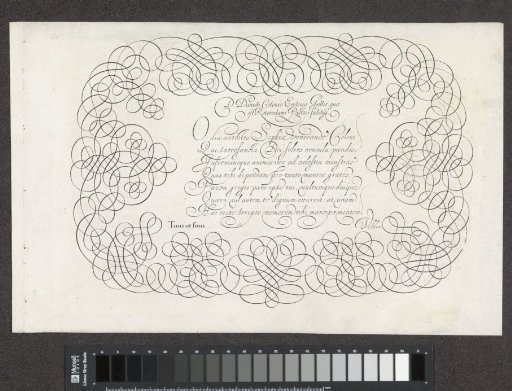 Writing Sample: D. Daniels Colonio ecclesiae Gallie (...)
