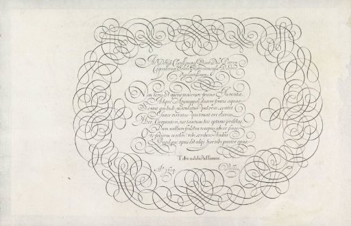 Writing Sample: Ad doctiss. clarissismumq[ue] (...)