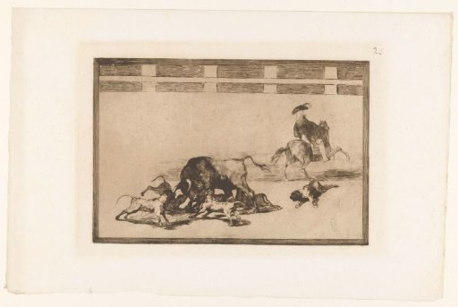 Bull Attacked by Dogs
