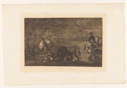 Bull Attacked by Dogs