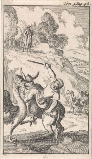 Fight of Sancho with an ostrich