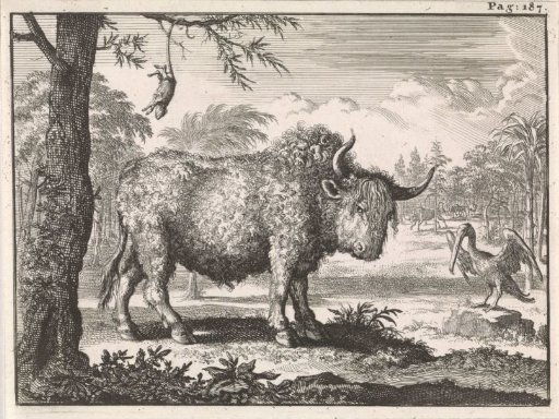 Bison, Opossum and a Pelican in an Exotic Landscape