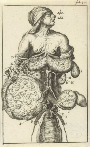 Anatomical illustration II