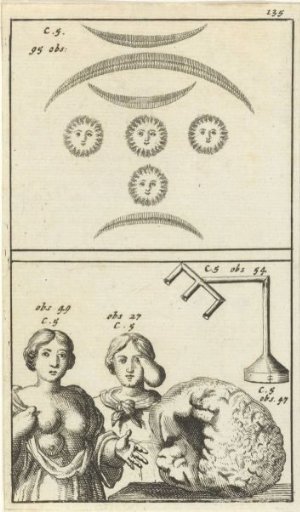 Anatomical Plate XIII