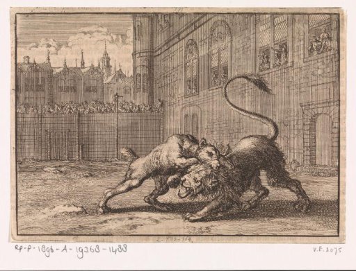 Fight in London between a dog and a young lion, 1664
