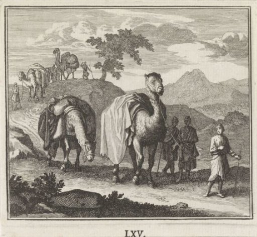 Emblem: Camel
