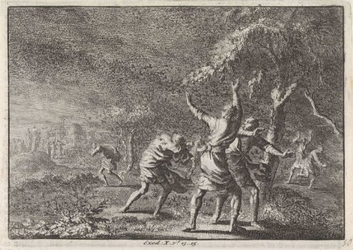 Plague of Locusts
