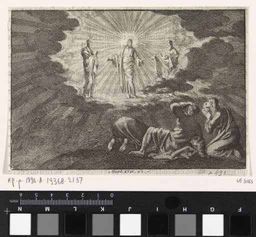 Transfiguration