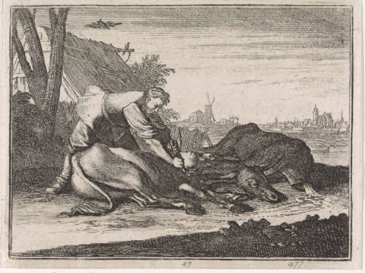 Groom cuts off the heads of two donkeys