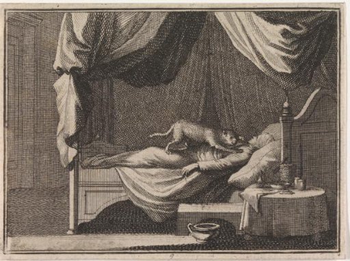 Sleeping Heretic Attacked by a Cat